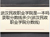 武汉民政职业学院是一本吗录取分数线多少(武汉民政职业学院分数线)