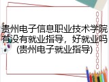 贵州电子信息职业技术学院有没有就业指导，好就业吗(贵州电子就业指导)