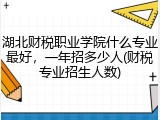 湖北财税职业学院什么专业最好，一年招多少人(财税专业招生人数)