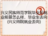 兴义民族师范学院毕业后就业前景怎么样，毕业生去向(兴义师院就业去向)