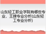 山东轻工职业学院有哪些专业，王牌专业分析(山东轻工专业分析)