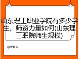 山东理工职业学院有多少学生，师资力量如何(山东理工职院师生规模)