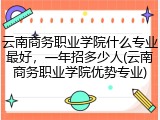 云南商务职业学院什么专业最好，一年招多少人(云南商务职业学院优势专业)