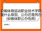 安徽体育运动职业技术学院是什么级别，公办还是民办(安徽体职公办性质)