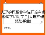 大理护理职业学院开设有哪些奖学和助学金(大理护理奖助学金)