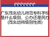 广东茂名幼儿师范专科学校是什么级别，公办还是民办(茂名幼师级别性质)