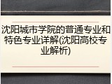 沈阳城市学院的普通专业和特色专业详解(沈阳高校专业解析)