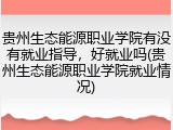 贵州生态能源职业学院有没有就业指导，好就业吗(贵州生态能源职业学院就业情况)
