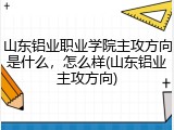 山东铝业职业学院主攻方向是什么，怎么样(山东铝业主攻方向)