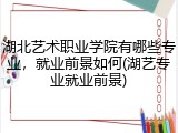 湖北艺术职业学院有哪些专业，就业前景如何(湖艺专业就业前景)