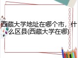 西藏大学地址在哪个市，什么区县(西藏大学在哪)