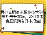 民办合肥滨湖职业技术学院要招专升本吗，如何参考(合肥滨湖专升本招生)