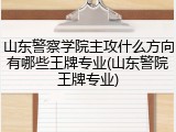 山东警察学院主攻什么方向有哪些王牌专业(山东警院王牌专业)