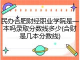 民办合肥财经职业学院是一本吗录取分数线多少(合财是几本分数线)