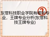 东营科技职业学院有哪些专业，王牌专业分析(东营科技王牌专业)