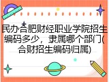 民办合肥财经职业学院招生编码多少，隶属哪个部门(合财招生编码归属)