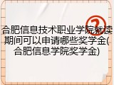 合肥信息技术职业学院就读期间可以申请哪些奖学金(合肥信息学院奖学金)