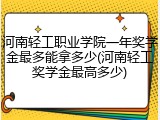 河南轻工职业学院一年奖学金最多能拿多少(河南轻工奖学金最高多少)