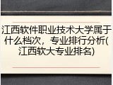 江西软件职业技术大学属于什么档次，专业排行分析(江西软大专业排名)