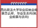 西北政法大学毕业后就业前景怎么样，毕业生去向(就业前景与去向)