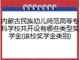 内蒙古民族幼儿师范高等专科学校共开设有哪些类型奖学金(该校奖学金类别)