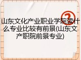 山东文化产业职业学院读什么专业比较有前景(山东文产职院前景专业)