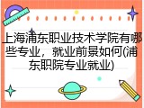 上海浦东职业技术学院有哪些专业，就业前景如何(浦东职院专业就业)