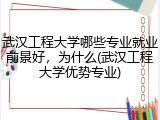 武汉工程大学哪些专业就业前景好，为什么(武汉工程大学优势专业)