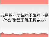 武昌职业学院的王牌专业是什么(武昌职院王牌专业)