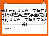 芜湖医药健康职业学院共开设有哪些类型奖学金(芜湖医药健康职业学院奖学金种类)
