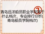 青岛远洋船员职业学院属于什么档次，专业排行分析(青岛船员学院档次)