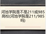 河池学院是不是211或985高校(河池学院是211/985吗)