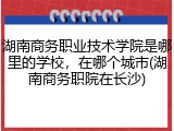 湖南商务职业技术学院是哪里的学校，在哪个城市(湖南商务职院在长沙)