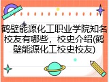 鹤壁能源化工职业学院知名校友有哪些，校史介绍(鹤壁能源化工校史校友)
