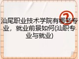 汕尾职业技术学院有哪些专业，就业前景如何(汕职专业与就业)