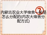 内蒙古农业大学宿舍一般是怎么分配的(内农大宿舍分配方式)