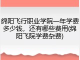 绵阳飞行职业学院一年学费多少钱，还有哪些费用(绵阳飞院学费杂费)