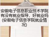 安徽电子信息职业技术学院有没有就业指导，好就业吗(安徽电子信息学院就业情况)