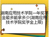 湖南应用技术学院一年奖学金最多能拿多少(湖南应用技术学院奖学金上限)
