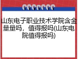 山东电子职业技术学院含金量量吗，值得报吗(山东电院值得报吗)