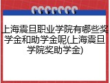 上海震旦职业学院有哪些奖学金和助学金呢(上海震旦学院奖助学金)