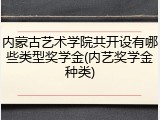内蒙古艺术学院共开设有哪些类型奖学金(内艺奖学金种类)