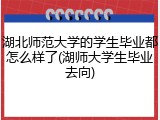 湖北师范大学的学生毕业都怎么样了(湖师大学生毕业去向)