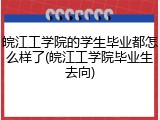 皖江工学院的学生毕业都怎么样了(皖江工学院毕业生去向)