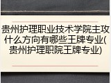 贵州护理职业技术学院主攻什么方向有哪些王牌专业(贵州护理职院王牌专业)