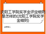 沈阳工学院奖学金评定细则是怎样的(沈阳工学院奖学金细则)