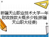 新疆天山职业技术大学一年财政拨款大概多少钱(新疆天山职大经费)