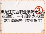 黑龙江商业职业学院什么专业最好，一年招多少人(黑龙江商院热门专业招生)