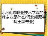 河北能源职业技术学院的王牌专业是什么(河北能源学院王牌专业)