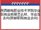 陕西邮电职业技术学院毕业后就业前景怎么样，毕业生去向(陕邮职院就业去向)